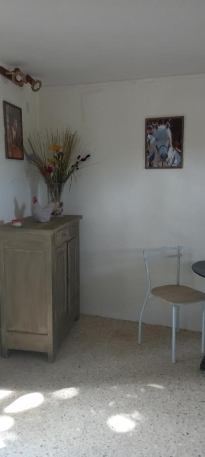 Petite Maison Dans La Campagne A 10 Mn A Pied Du Centre Ville آرْلْ المظهر الخارجي الصورة