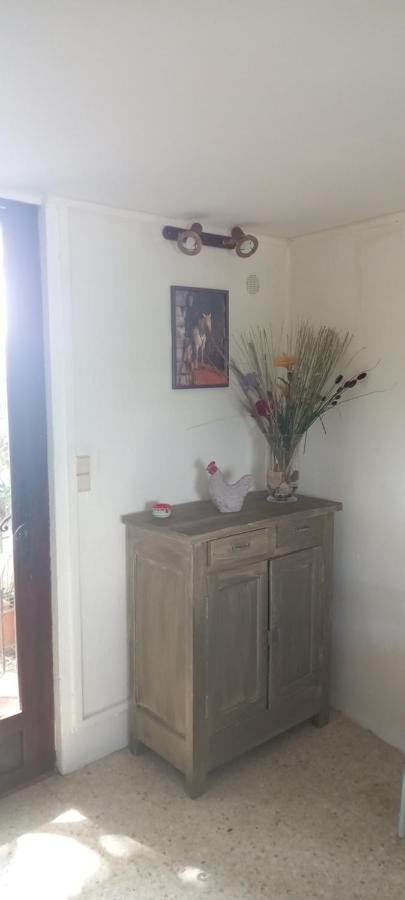 Petite Maison Dans La Campagne A 10 Mn A Pied Du Centre Ville آرْلْ المظهر الخارجي الصورة